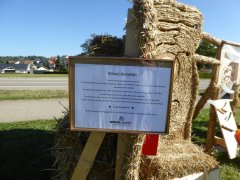 Strohpark_2024_0016.jpg
