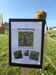 Strohpark_2024_0029.jpg