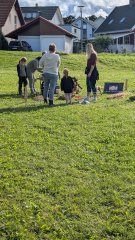 Strohpark_2025_Aufbau0016.jpg
