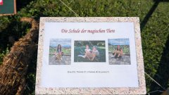 Strohpark_20250003.jpg Strohpark_20250003.jpg