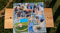 Strohpark_20250005.jpg Strohpark_20250005.jpg